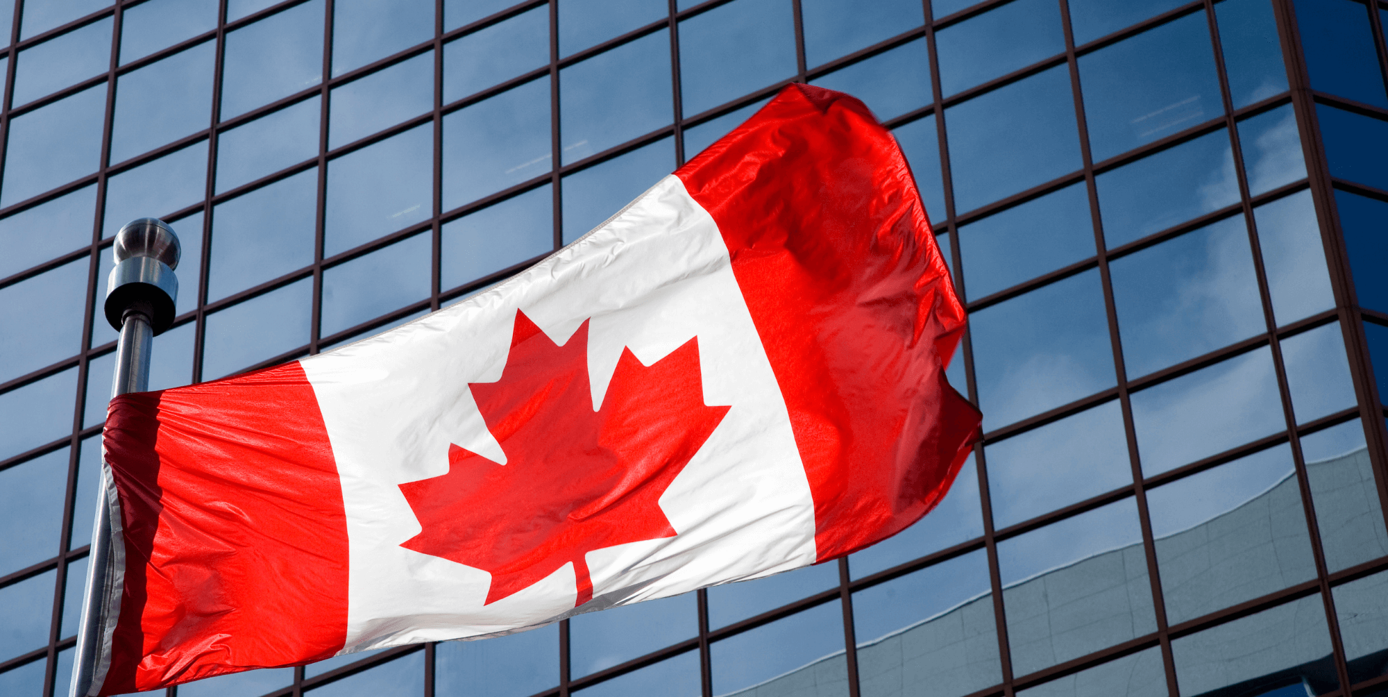 Avocat en immigration en consultation bienveillante avec un client